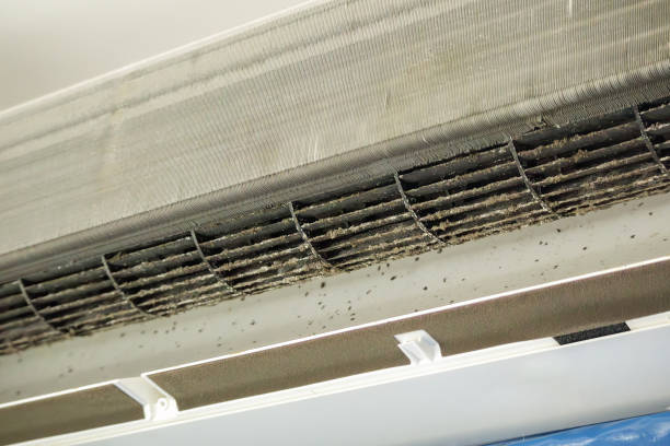 Best Best Air Duct Cleaning Company  in Tolono, IL